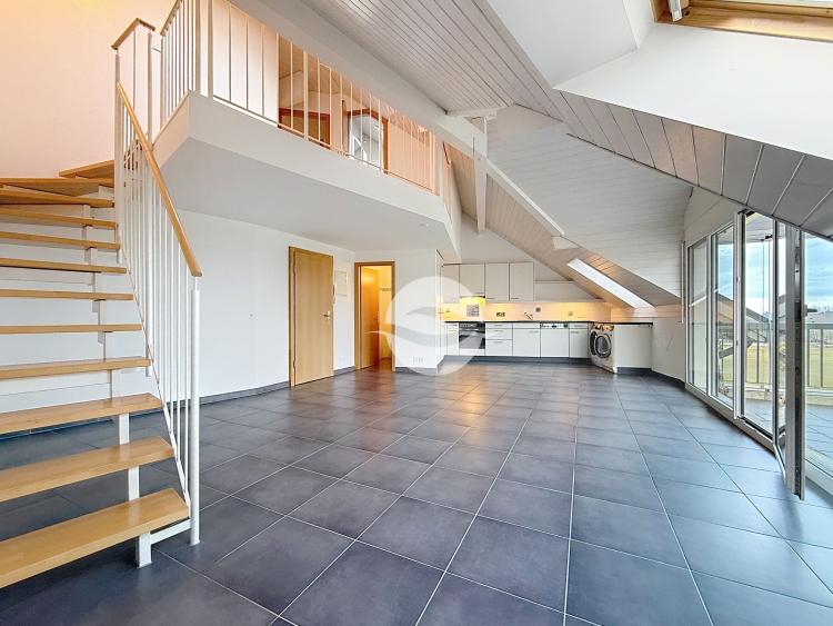 Duplex dans les combles - 2 chambres 