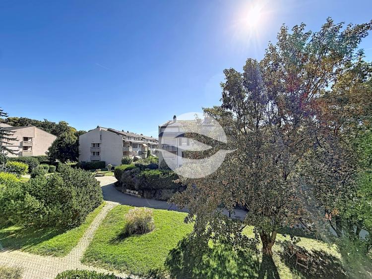 Agréable appartement lumineux de 5.5 pièces au calme absolu!